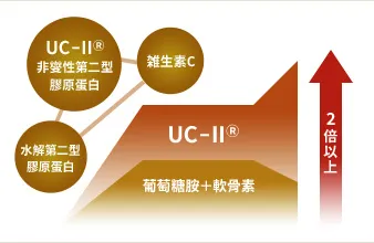 比較圖表