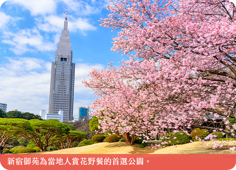 東京城市綠洲華麗野餐1