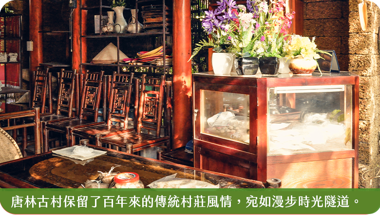 唐林古村1