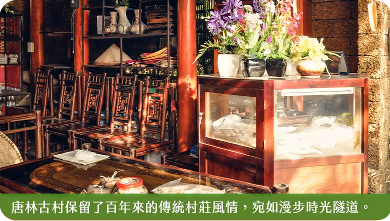 唐林古村1