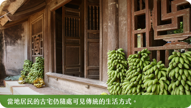 唐林古村2