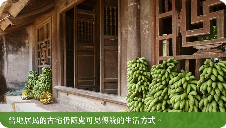 唐林古村2