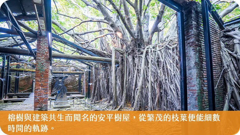 安平樹屋