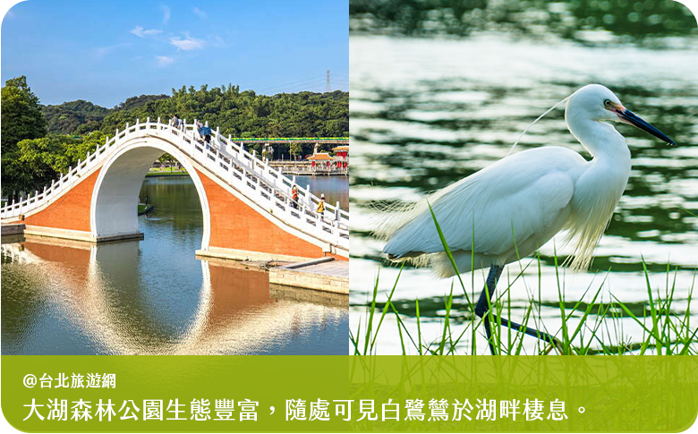 大湖公園