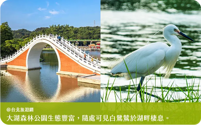 大湖公園