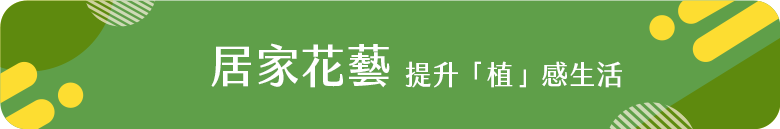 居家花藝