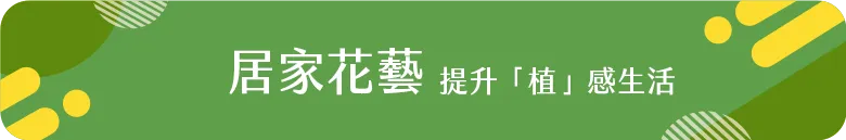 居家花藝