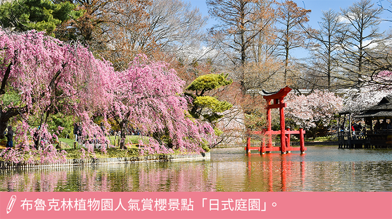 布魯克林植物園