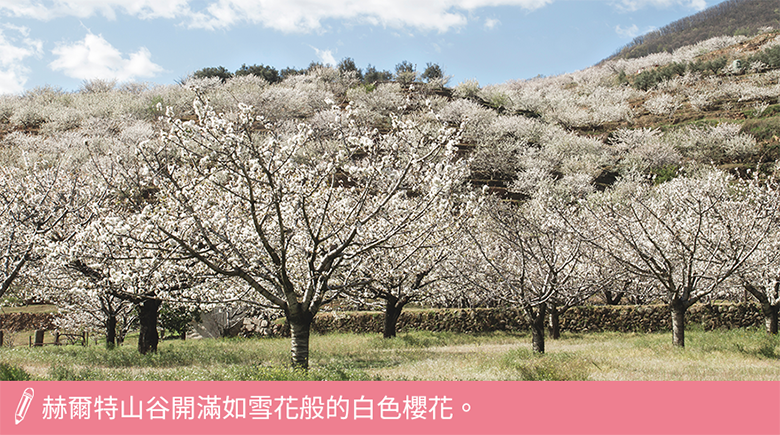 赫爾特山谷