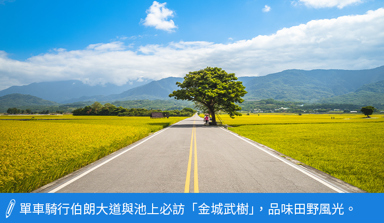 池上必訪金城武樹