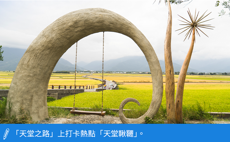 打卡熱點天堂鞦韆