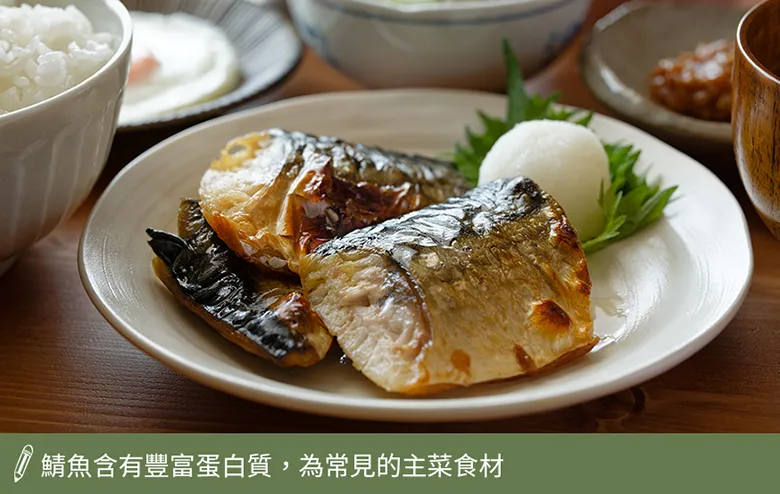 鯖魚含有豐富蛋白質