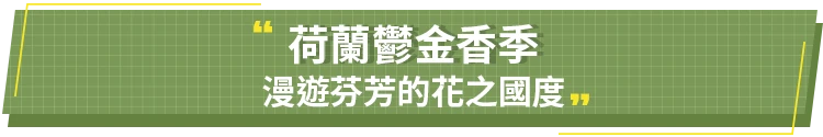 荷蘭鬱金香季