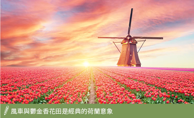 風車與鬱金香花田