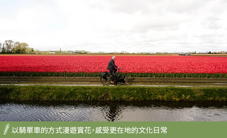 騎單車漫遊賞花