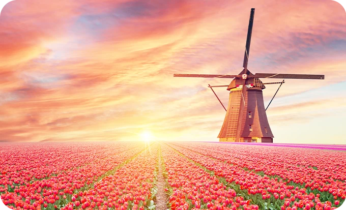 2026年4月號 美感漫遊－荷蘭「鬱金香季」芬芳盛開中！騎單車遊花卉走廊
