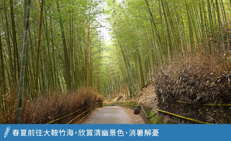 大鞍竹海欣賞清幽景色