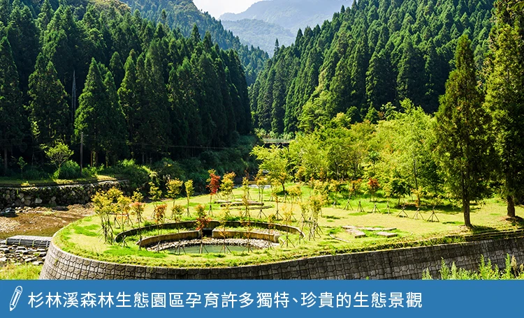 杉林溪森林生態園區
