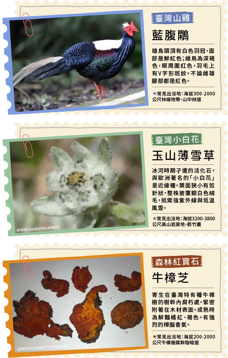 臺灣特有種`