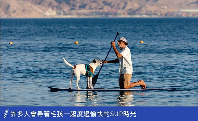 帶毛孩一起SUP