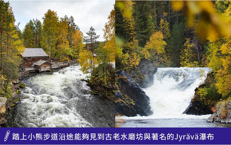 小熊步道沿途風景