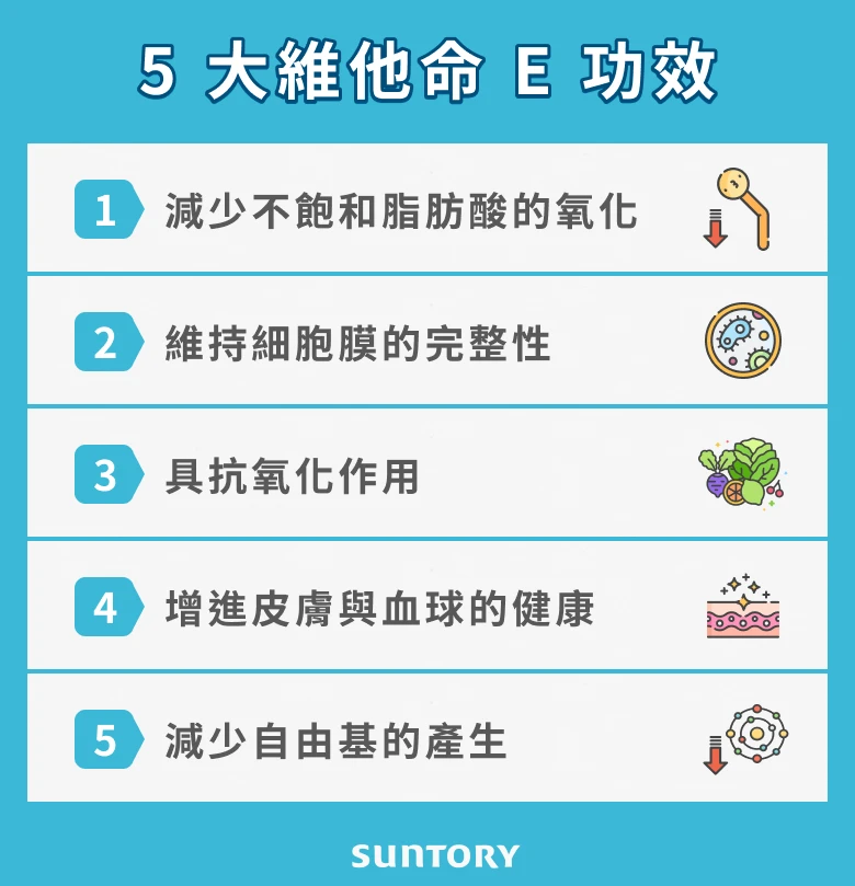 5大維他命 E 功效