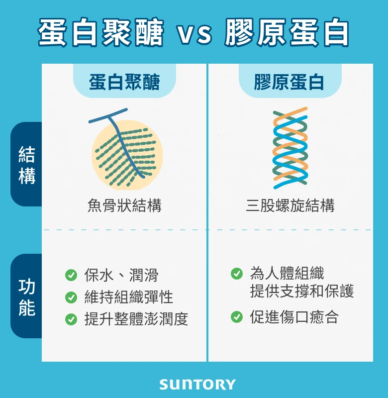 蛋白聚醣膠原蛋白差異