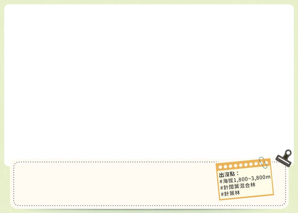 得利獅桌布下載 頁首