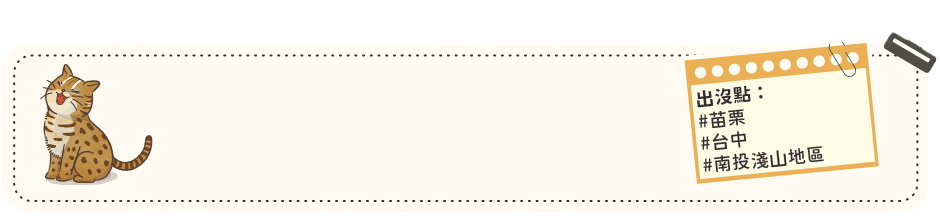 得利獅桌布下載 頁首