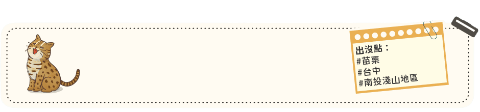 得利獅桌布下載 頁首