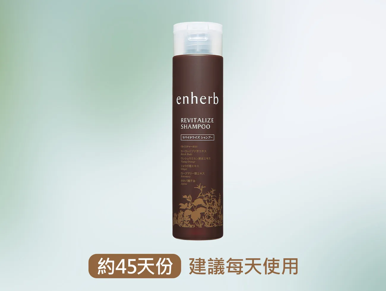 enherb 恩荷 甦活煥采洗髮露
