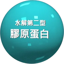 水解第二型膠原蛋白圖