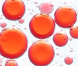 蝦紅素