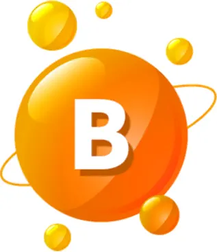 維他命B群