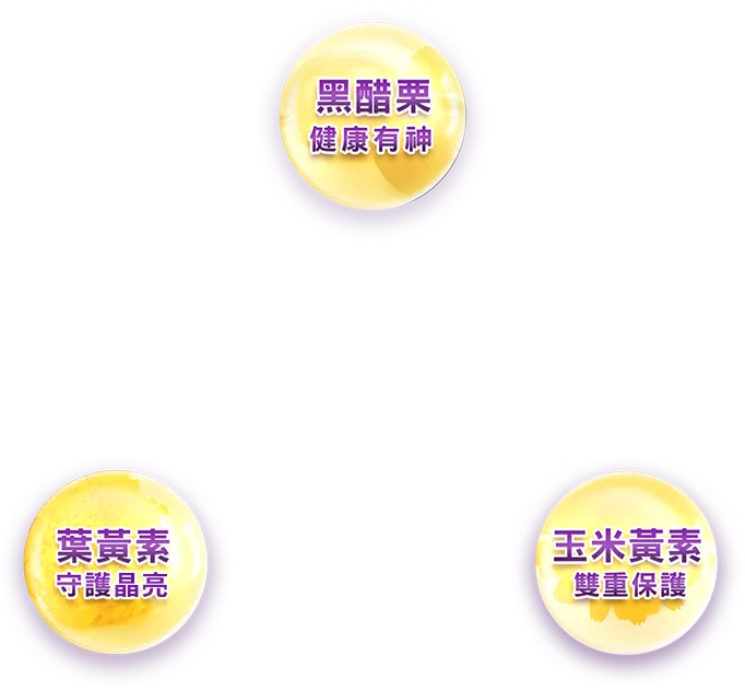 黑醋栗+葉黃素+玉米黃素
