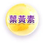 玉米黃素