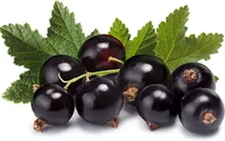 grape