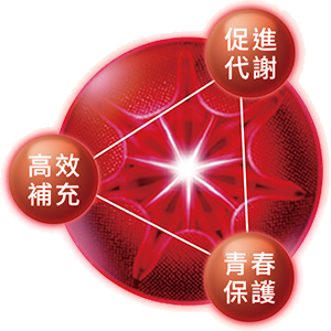 澎潤關鍵成分-小分子膠原胜肽