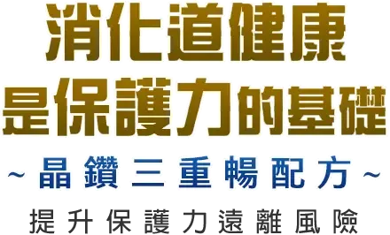 消化道健康是保護力的基礎