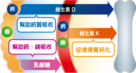 營養成分堅持