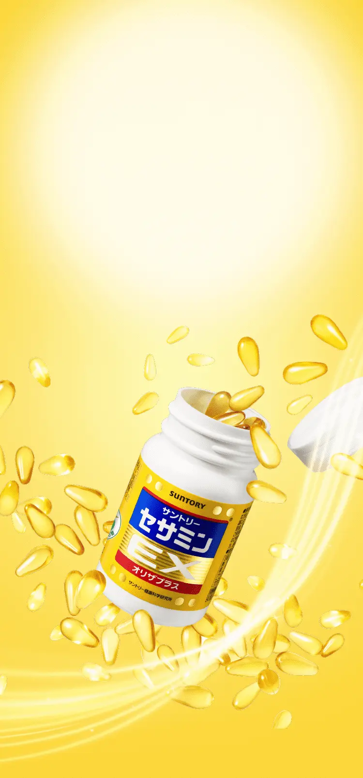 芝麻明EX
