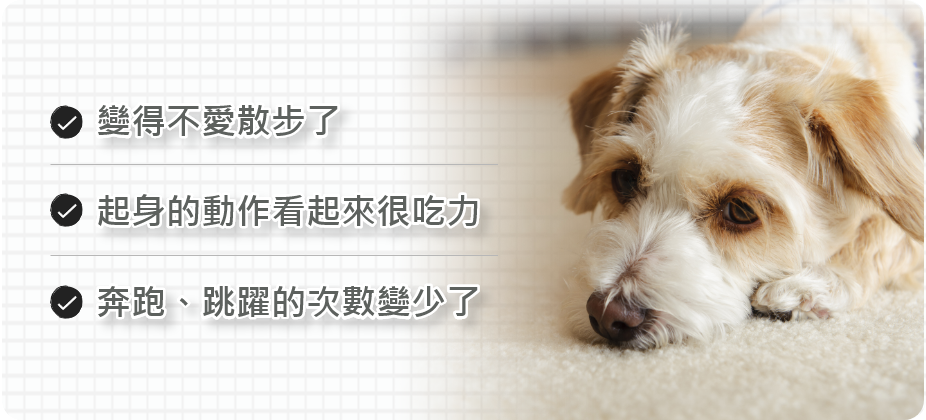 變得不愛散步了 起身的動作看起來很吃力 奔跑跳耀的次數變少了