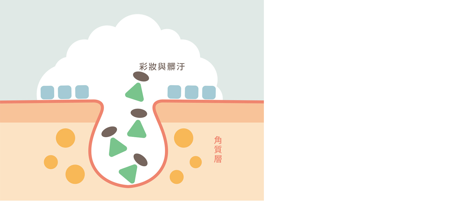 細緻泡沫深入毛孔角落,帶走彩妝與髒汙,徹底清爽洗淨,洗淨同時給予肌膚保濕與美肌效果。