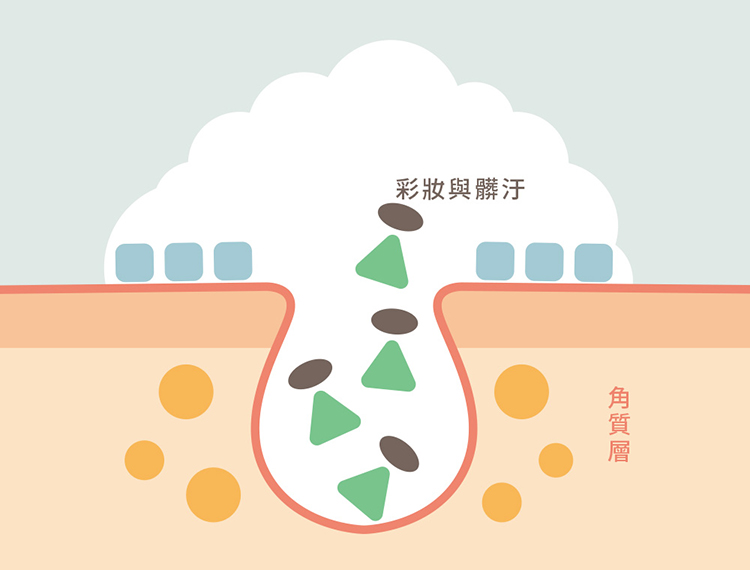 細緻泡沫深入毛孔角落,帶走彩妝與髒汙,徹底清爽洗淨,洗淨同時給予肌膚保濕與美肌效果。
