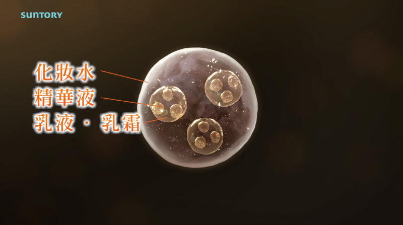 三滲透技術動畫呈現